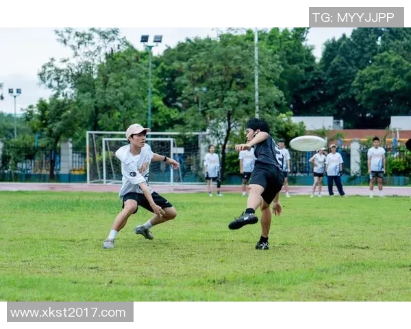 广州飞盘队整体压制战术解析与深度剖析飞盘运动的魅力与挑战