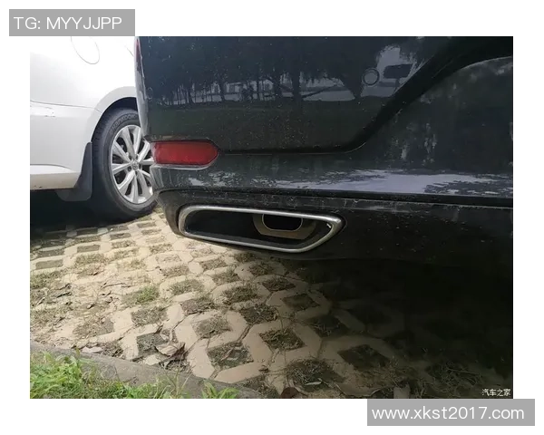 武汉攀岩队团队协作的独特优势与其他队伍的比较分析