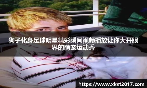 zoty中欧体育官网